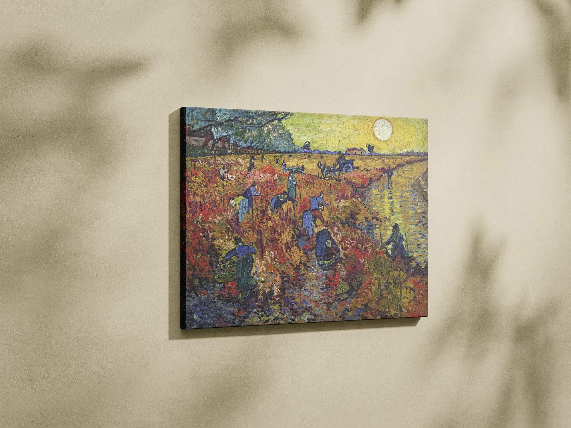 Կարմիր խաղողի այգիները Արլում